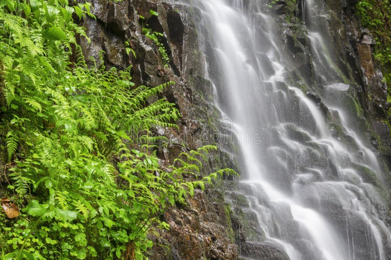 Spady waterfall at Polana mountains