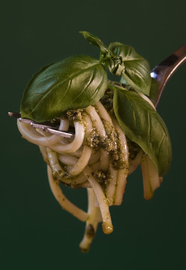 Spaghetti with Basil Leaves Stock Photo Image of spaghetti, basil