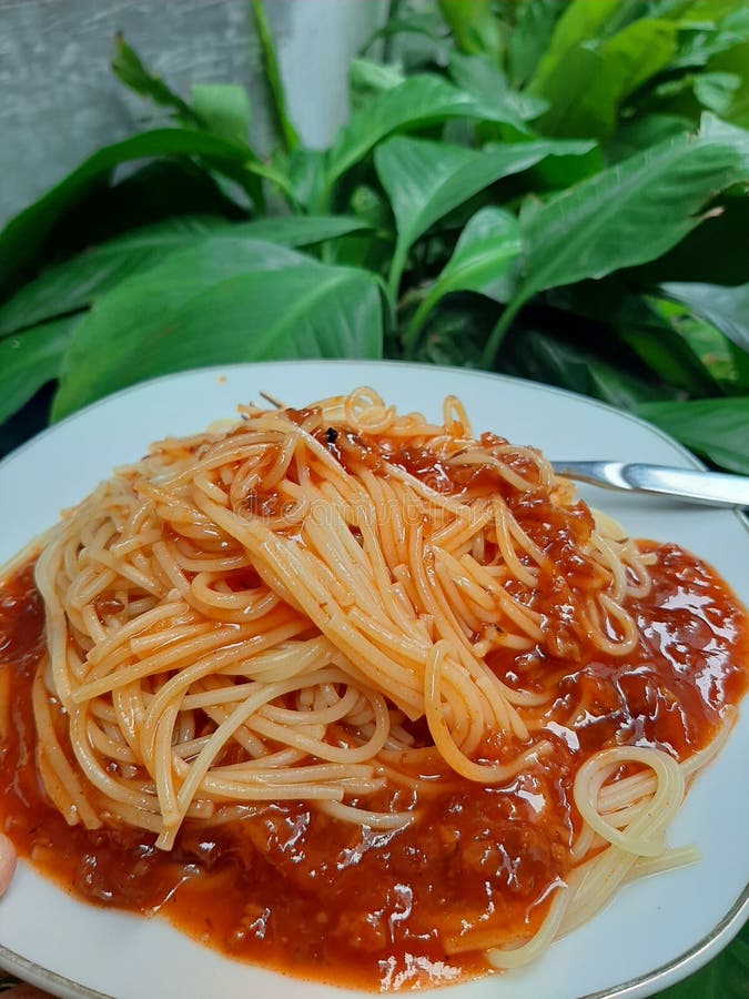 Spaghetti with Beef Bolognese Sauce Stock Photo Image of beef
