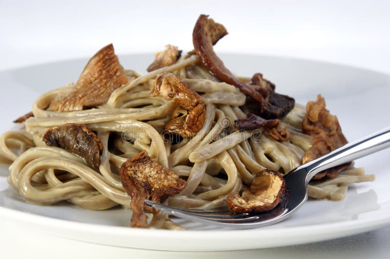 Spaghetti with Mushroom and Pepper Sauce Stock Photo Image of pasta