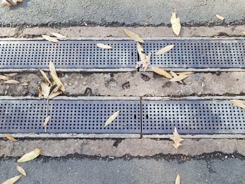 Spalt och cement med metalldränering eller galler med blad arkivbild Spalt och cement med metalldränering eller galler med blad arkivbild