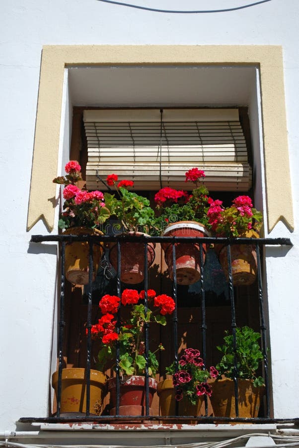 Spanish Balcony with Flowers, Ronda, Spain. Stock Photo Image of