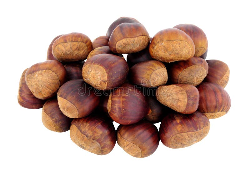 Spanish Chestnuts Isolated on White Stock Photo Image of meal