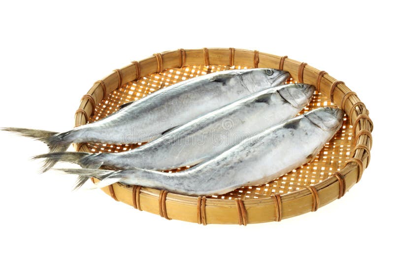 1,338 Spanish Mackerel Stock Photos Free & RoyaltyFree Stock Photos