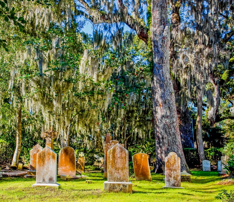 Spanish Moss and Old Graves Stock Image Image of moss, cemetery