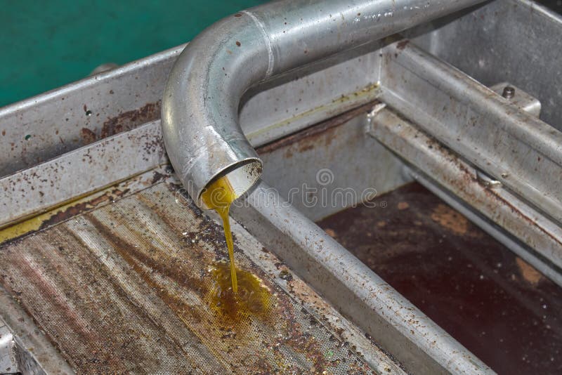 Spanish Olive Oil Process in Factory Stock Photo Image of quality