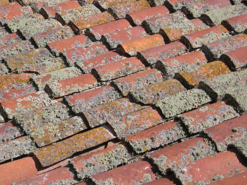 Spanish Shingles Picture. Image 278108