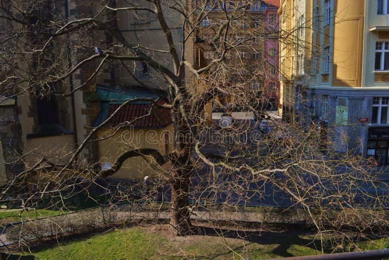 Spanish synagogue in prague royalty free stock photos