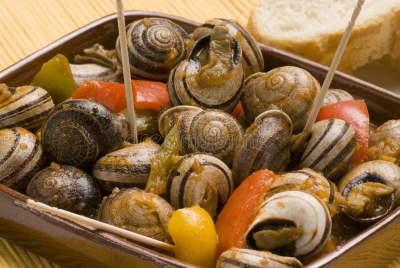 Spanish Tapas. Snails In Chili Sauce. Stock Image Image of food