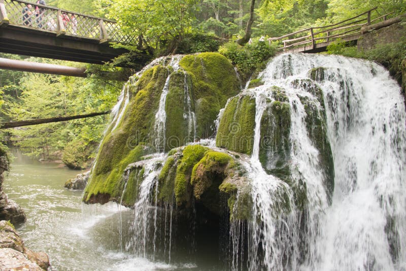 Sparen het milieu, het mooie groene park en het bos met waterval en kleine zuivere drinkbare waterkreek stock fotografie Sparen het milieu, het mooie groene park en het bos met waterval en kleine zuivere drinkbare waterkreek stock fotografie