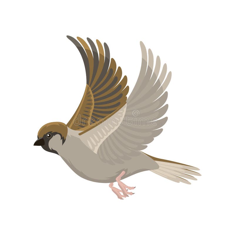 Sparrow Flying Bird Vector Illustration Stock Vector - Illustration of  cartoon, beautiful: 85935145