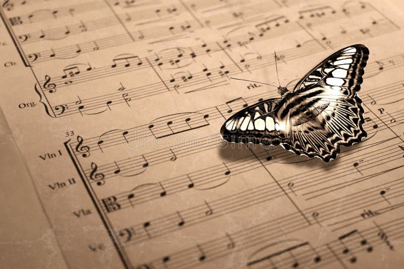 A close-up shot of an old music shore with a butterfly. A close-up shot of an old music shore with a butterfly