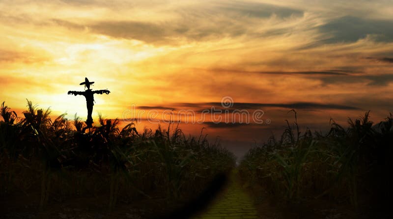 Spaventapasseri al tramonto fotografia stock libera da diritti Spaventapasseri al tramonto fotografia stock libera da diritti