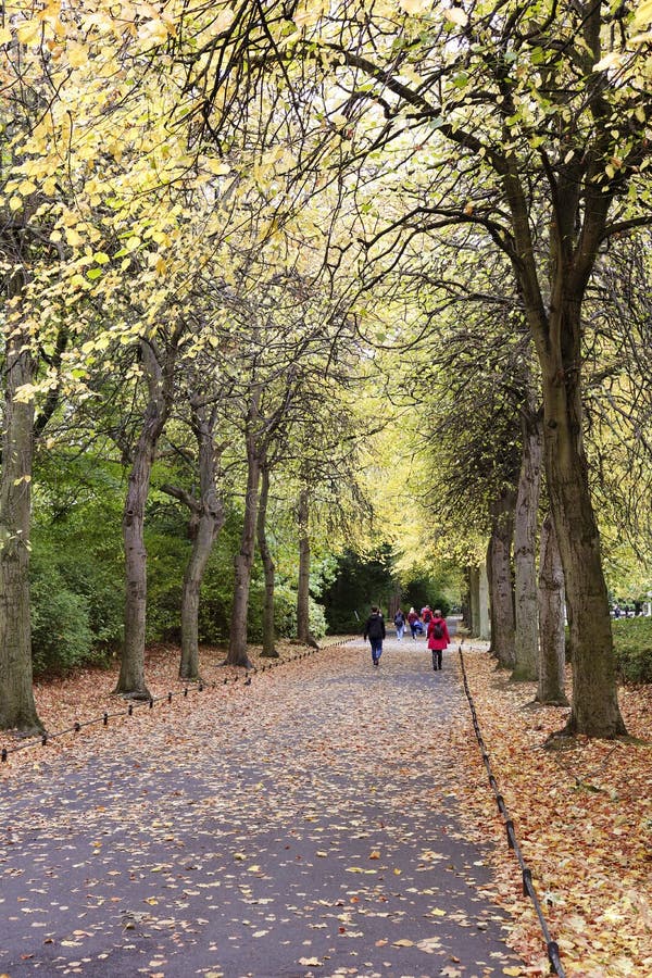 Spazieren Sie im Herbstpark stockbild Spazieren Sie im Herbstpark stockbild