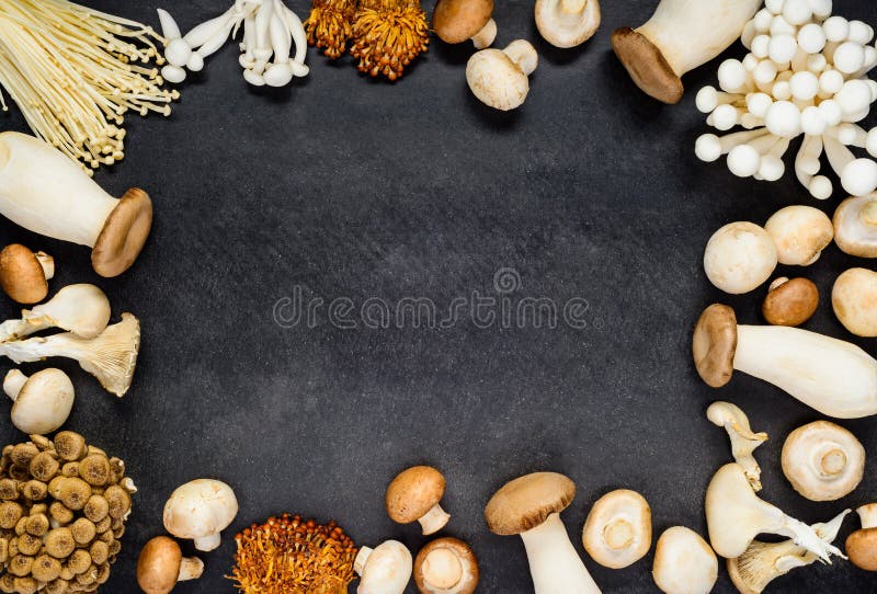 Spazio della copia della struttura dei funghi fotografia stock Spazio della copia della struttura dei funghi fotografia stock