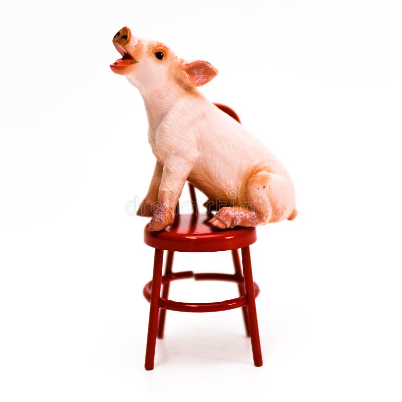 Speak Up ! Pig on Chair