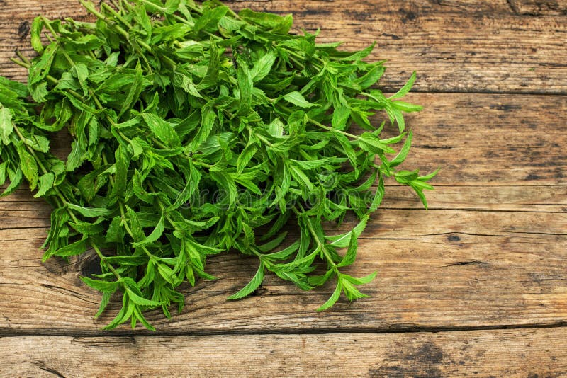 Spearmint on a wooden table royalty free stock photo Spearmint on a wooden table royalty free stock photo