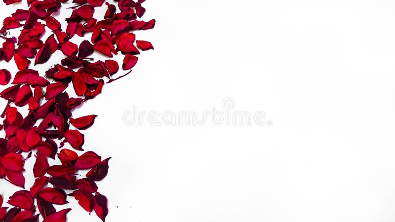 Special Day Gift for someone special with space for quotes royalty free stock photo Special Day Gift for someone special with space for quotes royalty free stock photo