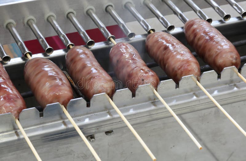 A Rotating Spit Roast of Meat Over Hot Coals. Grill Meat Dish, Roasted