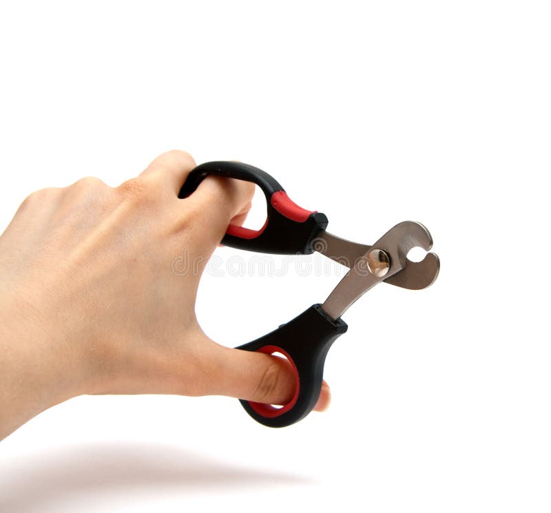 Special Scissors stock photos