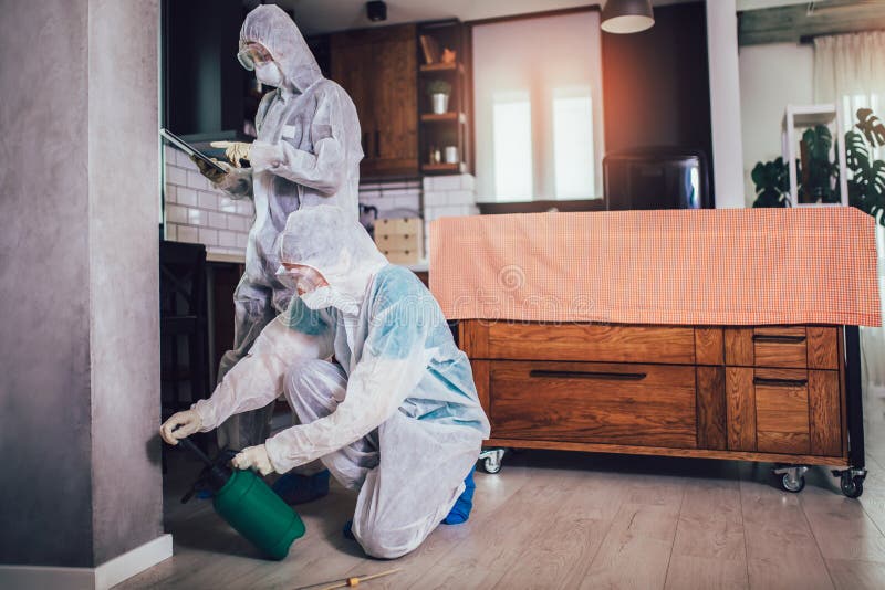 Specialists in protective suits do disinfection or pest control royalty free stock image Specialists in protective suits do disinfection or pest control royalty free stock image