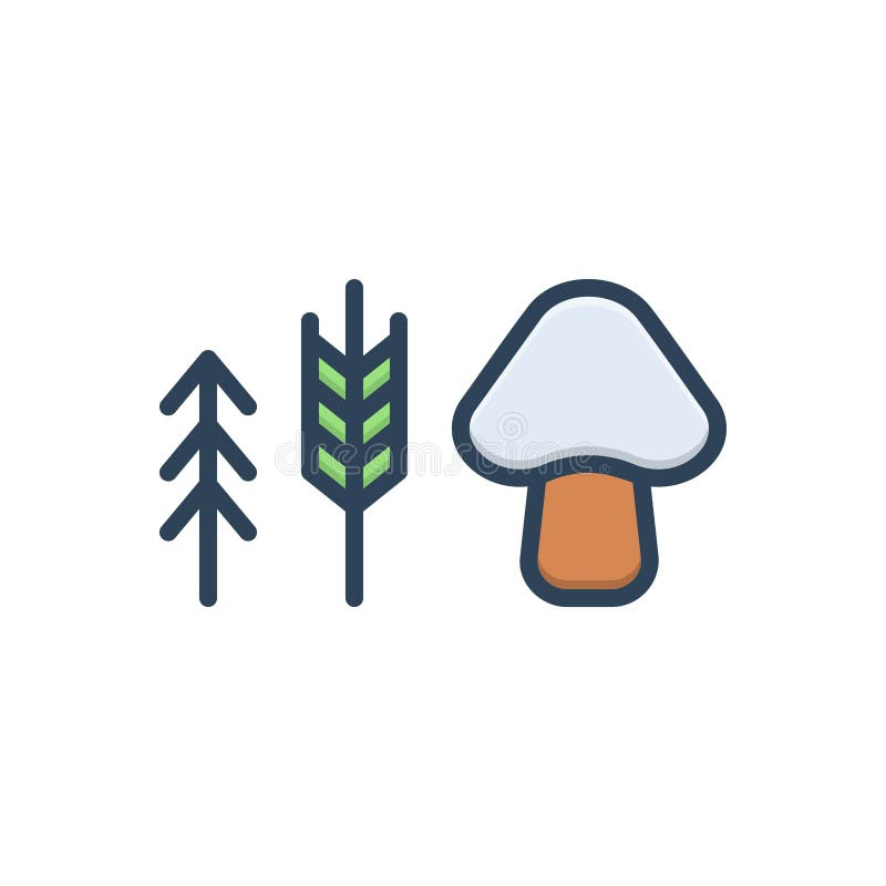 Color Illustration Icon for Species, Category and Leaf Stock Vector