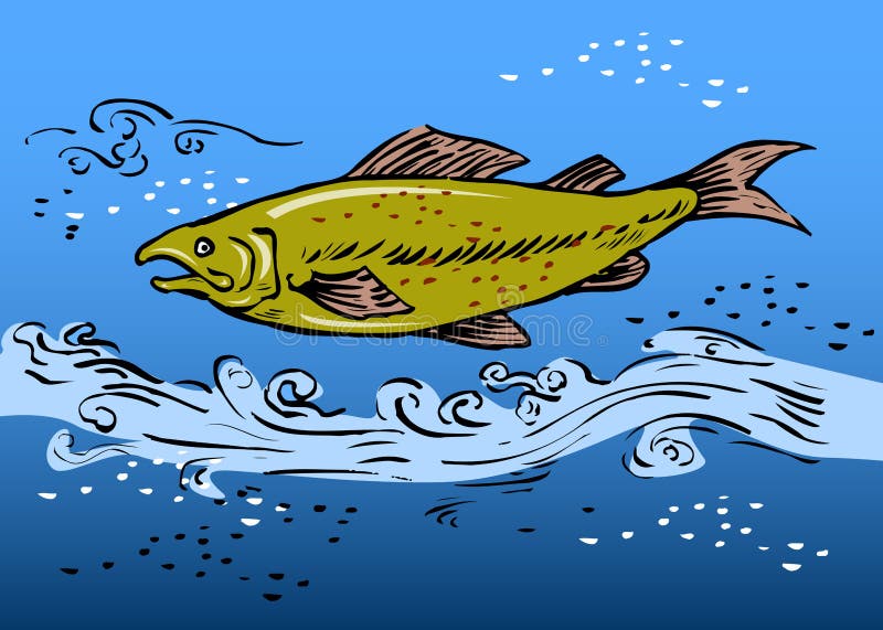 Trout Underwater Stock Illustrations – 17,034 Trout Underwater