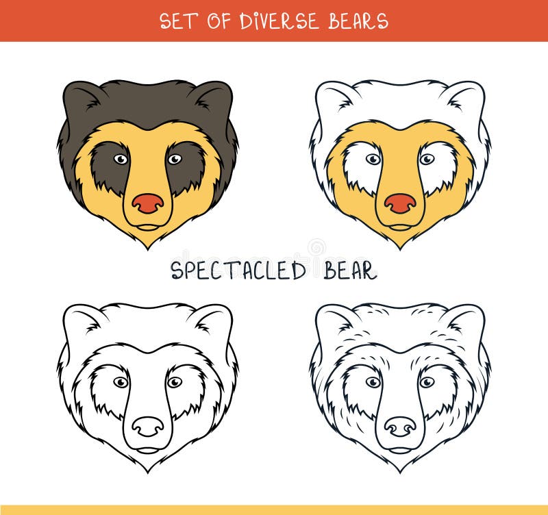 Spectacled Bear. Set Face, Heads Bear in Lines Stock Vector - Illustration  of doodle, pumpkin: 60800073