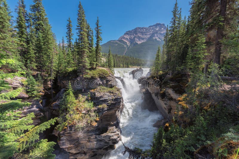 Spectacular Athabasca Falls in Jasper National Park, Alberta, Canada.