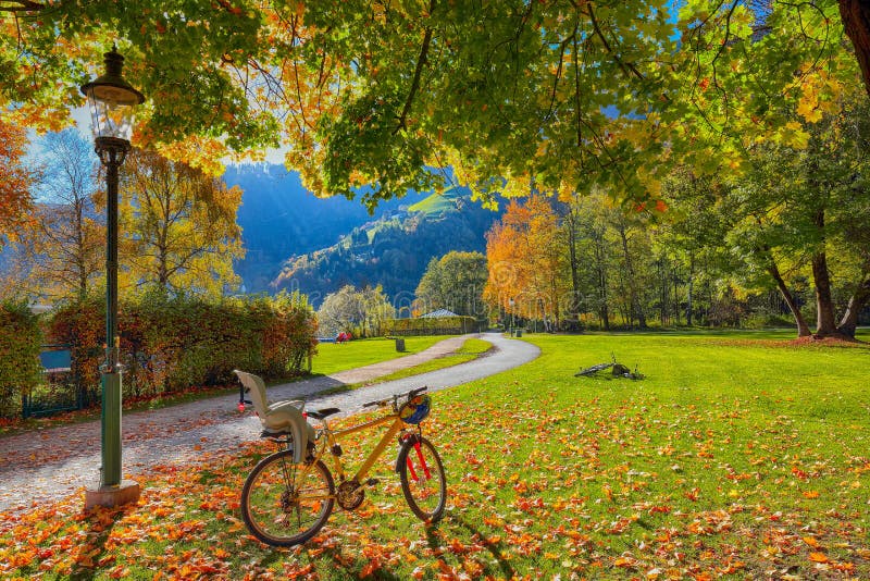 Spectacular Autumn View Of Lake And Trees In City Park Of Sell Am See