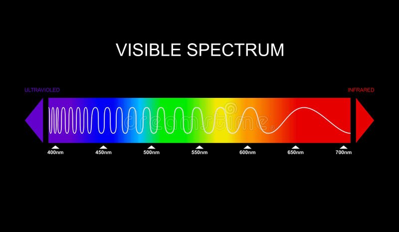 Spectrum, visible light diagram. Portion of the electromagnetic spectrum that is visible to the human eye. Color