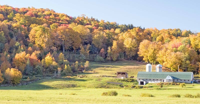 Wheeler Farm royalty-vrije stock foto's