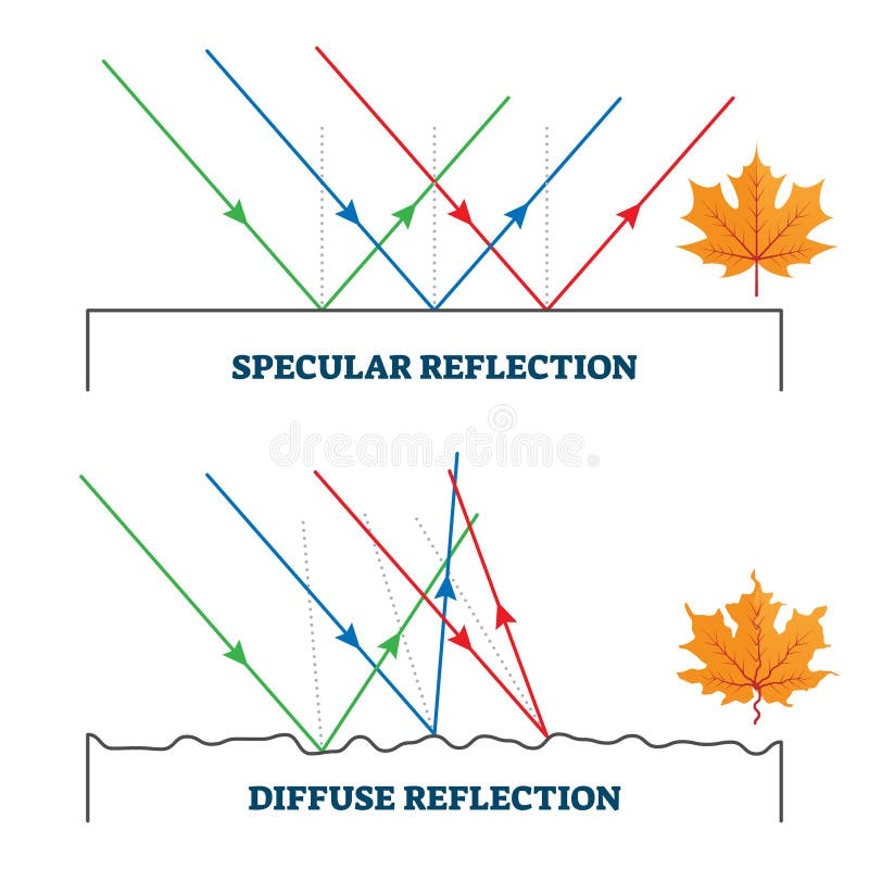 Specular And Diffuse Reflection Vector Illustration Diagram Stock Vector Illustration Of Drawing Observe 173860168