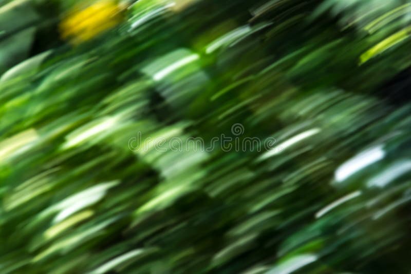 Speed nature abstract green background forest trees blurred stock image Speed nature abstract green background forest trees blurred stock image