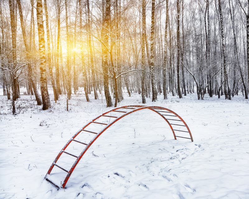 Speelplaats onder lange bomen onder de sneeuw ladder wordt behandeld die met royalty-vrije stock fotografie Speelplaats onder lange bomen onder de sneeuw ladder wordt behandeld die met royalty-vrije stock fotografie
