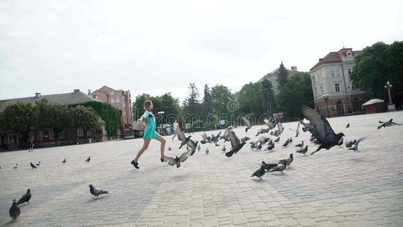 Speels meisje die onder duiven op het stadsgebied lopen 4K