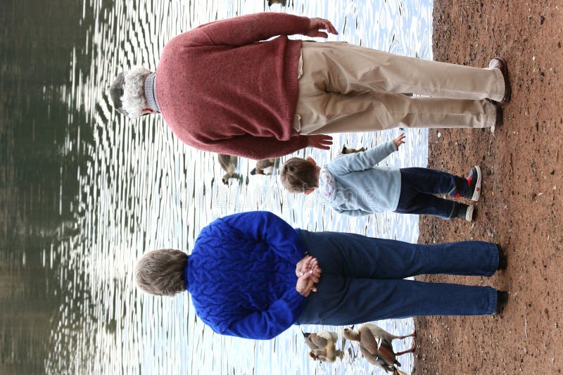 Speicherung der Enten stockfotos Speicherung der Enten stockfotos