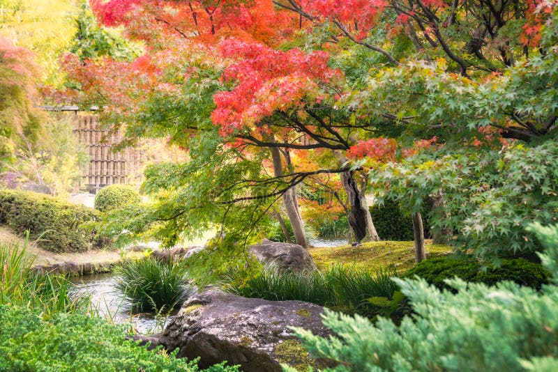 Spektakulär höstlövverk längs en liten liten vik på trädgården för kinesisk stil i japanska trädgårdar Koko-en i Himeji arkivfoton Spektakulär höstlövverk längs en liten liten vik på trädgården för kinesisk stil i japanska trädgårdar Koko-en i Himeji arkivfoton