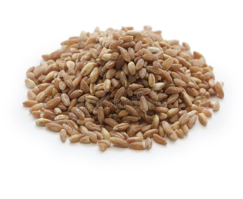 Spelt, Farro, Primitive Wheat Stock Photo Image of spelt, soup 42949798