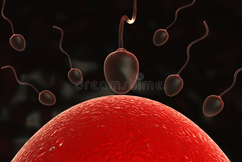 Sperm in uterus