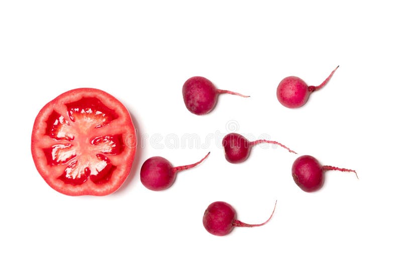 Sperm swimming toward the egg concept,Human Sperm to Human Egg,crimson giant red radish and red tomato vegetable isolated