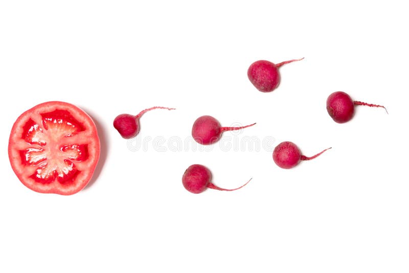 Sperm swimming toward the egg concept,Human Sperm to Human Egg,crimson giant red radish and red tomato vegetable isolated