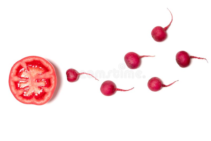 Sperm swimming toward the egg concept,Human Sperm to Human Egg,crimson giant red radish and red tomato vegetable isolated