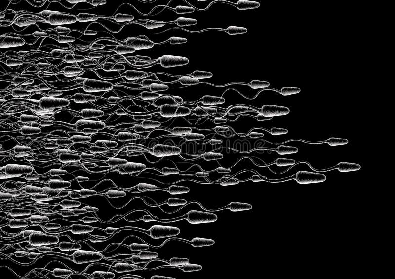 Dessin De Main De Cellules De Sperme Et D&rsquo;oeufs Illustration de Vecteur