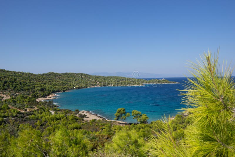 Spetses Island. Zogeria beach, pine trees landscape. Greece