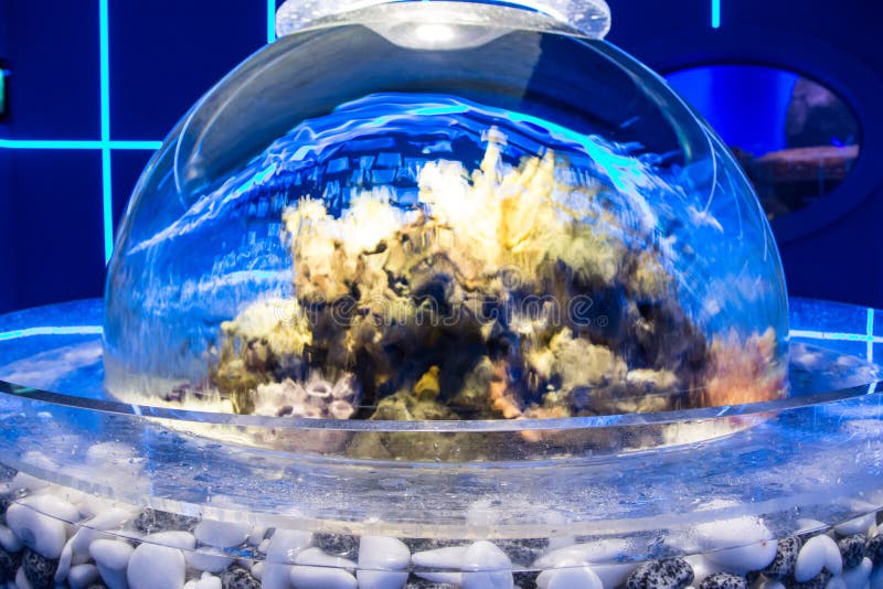 Spherical aquarium stock image Spherical aquarium stock image