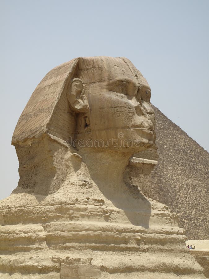 The Sphinx Head