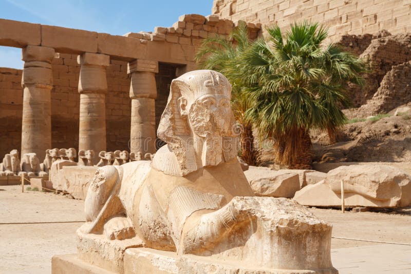 Sphinx statue in Karnak Temple Complex. Luxor, Egypt. Sphinx statue in Karnak Temple Complex. Luxor, Egypt