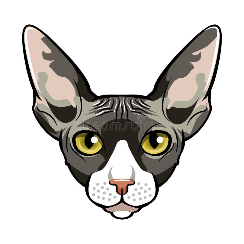 Portrait Sphynx Cat Stock Illustrations – 475 Portrait Sphynx Cat Stock