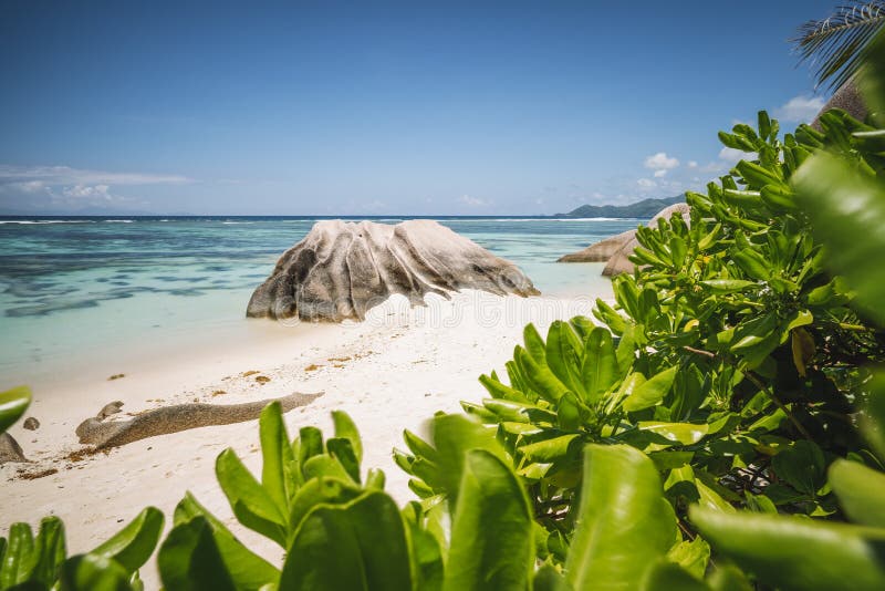 Anse Source d&#x27;Argent beach - beautifully shaped granite boulder framed by green leaves, La Digue island, Seychelles. Anse Source d&#x27;Argent beach - beautifully shaped granite boulder framed by green leaves, La Digue island, Seychelles.